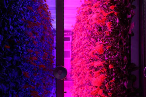 the technology behind container farming