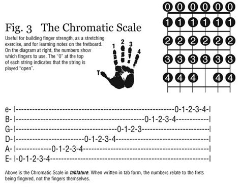 Free Guitar Class 17 The Chromatic Scale