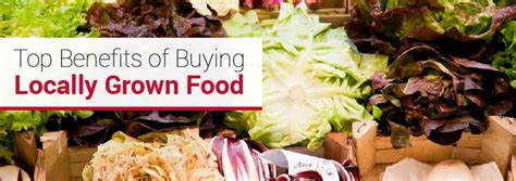 Top Benefits Of Buying Locally Grown Food Arrowquip 2023