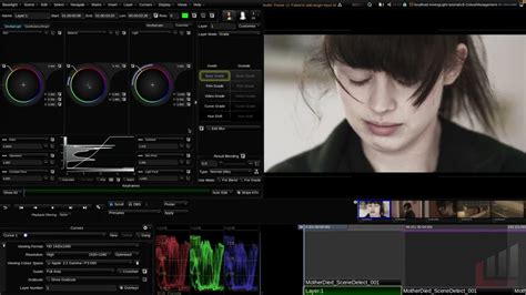 Learning Baselight Look 9 How To Color Correct With Base Grade And