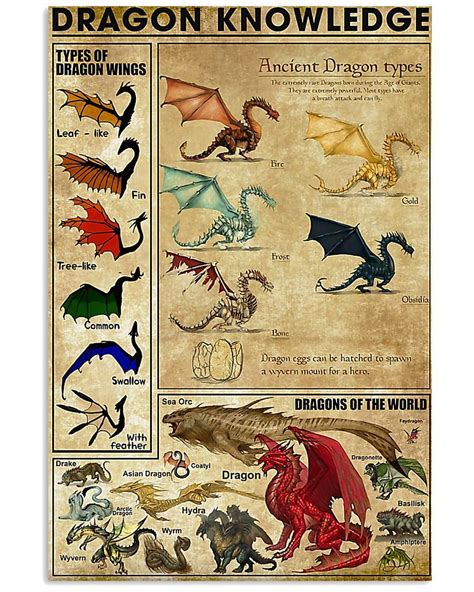 Dragon Knowledge Chart In 2023 Fantasy Creatures Art Dragon Artwork