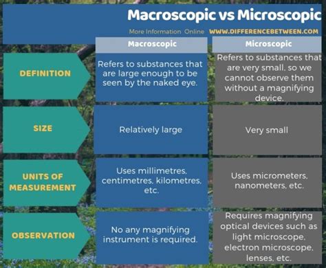 Difference Between Macroscopic And Microscopic Compare The Difference