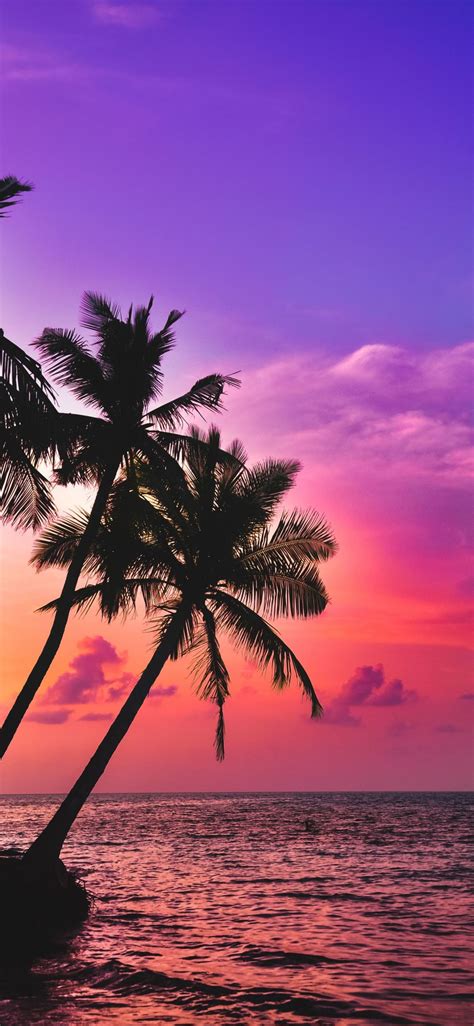 1125x2436 Tropical Island Beach Pink Sky Sunset Palms Wallpaper