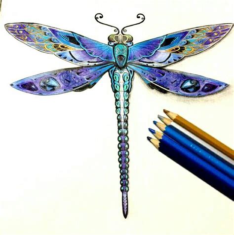 Libélula Jardim Secretofloresta Encantada Dragonfly Art Dragonfly