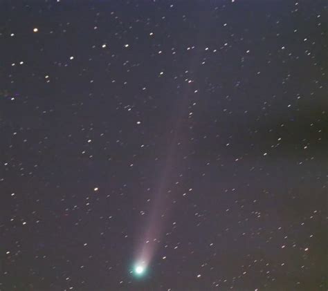 Comet Lovejoy Sagas Online