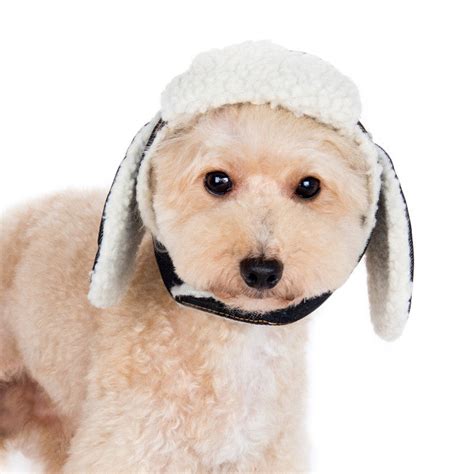 Trapper Hat For Dogs Puplife Dog Supplies