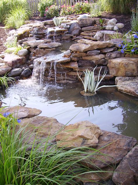 Pond Plants What You Need To Know Pond Landscaping Waterfalls