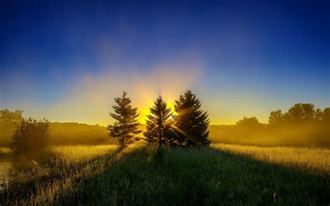 2560x1600 Trees Grass Sunset Sky Wallpaper Coolwallpapersme