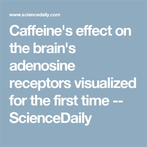 Caffeines Effect On The Brains Adenosine Receptors Visualized For The