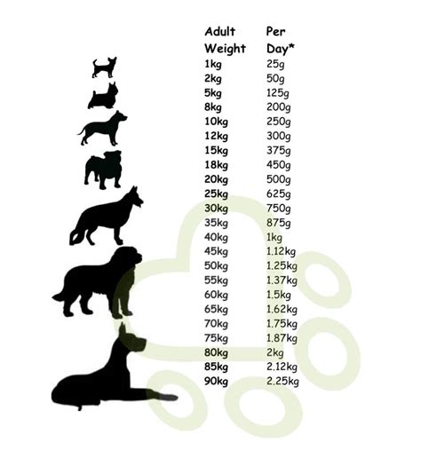 How Much Should A Puppy Eat Daily