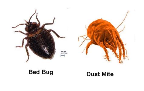 Bed Bugs Control Guides March 2011