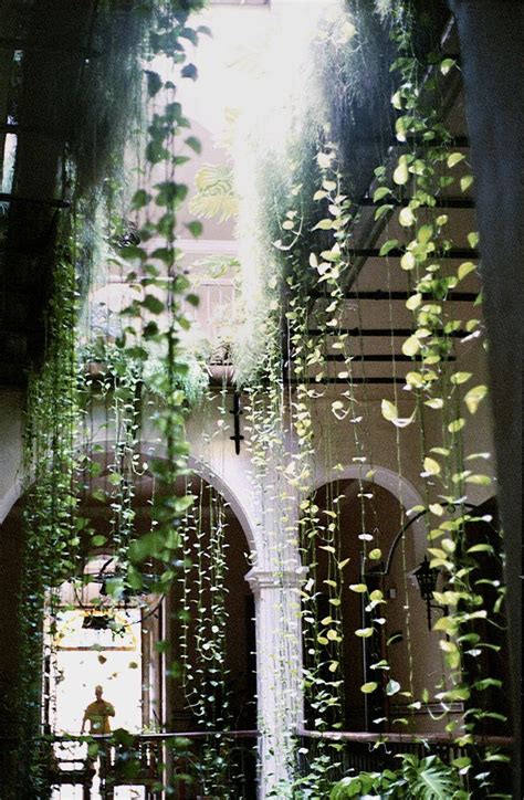 A Beautiful Display Of Hanging Atrium How Does Your Garden Grow