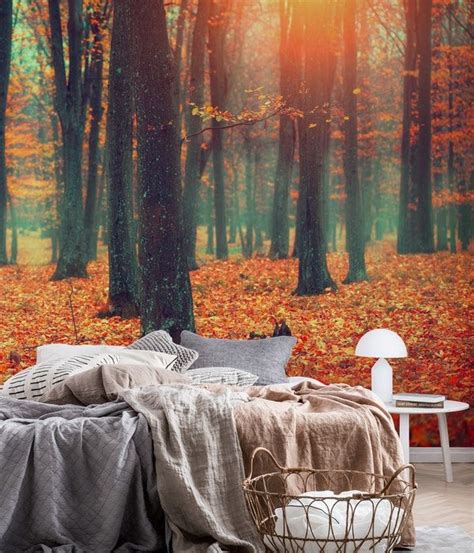 Autumn Wallpaper Forest Wall Mural Wall Murals Mural