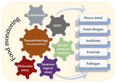 Nanomaterials Free Full Text Recent Progress In Nanotechnology Based Approaches For Food