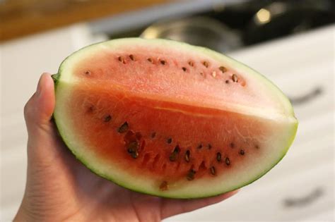 How To Tell If A Watermelon Is Bad Leaftv