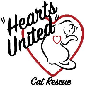 The organization is 100 volunteer and every penny raised covers the food, medical expenses, and care of rescue cats and kittens while they are with their foster families, until they find forever homes. Pets for Adoption at Hearts United Cat Rescue, in Rocky ...