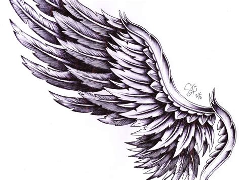 A Drawing Of An Angel Wing On A White Background
