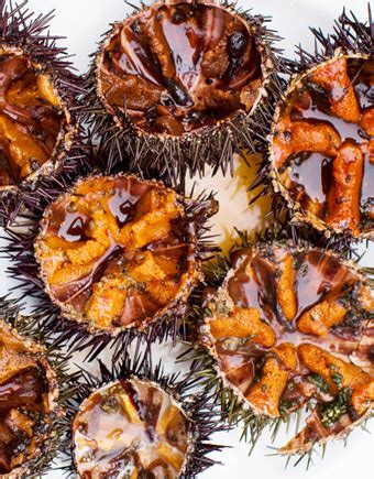 Sea urchin facts and information: Live Sea Urchin - Lam's Seafood