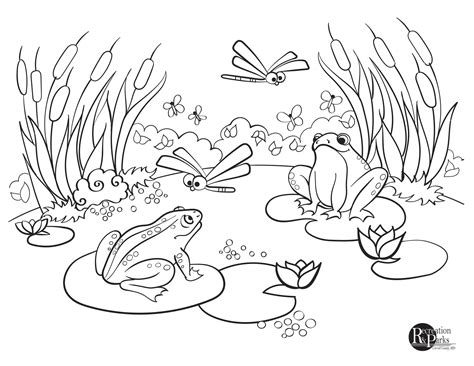 Free frog coloring page printable. Carroll County Government | Recreation & Parks Coloring ...