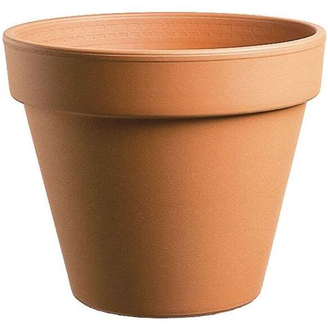 Wilko Terracotta Plant Pots Plastic Plant Pots Small Shrubs