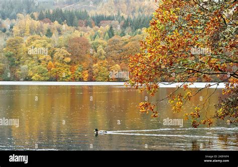 Pitlochry Perthshire Scotland Looking Across Loch Faskally With The