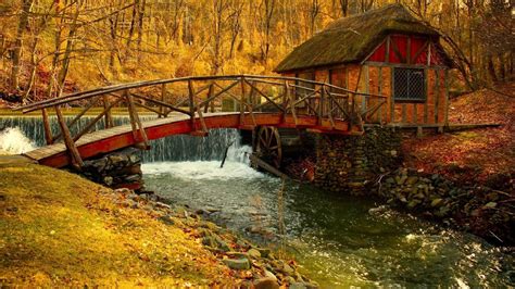 1920x1080 Px Autumn Bridge Fall Forest Landscape Leaf Leaves Nature