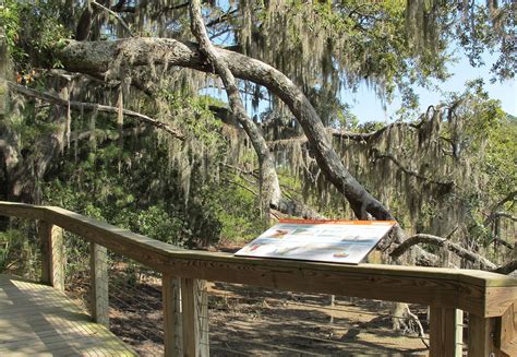 The Marsh Boardwalk at the Coastal Discovery Museum at Honey Horn on
