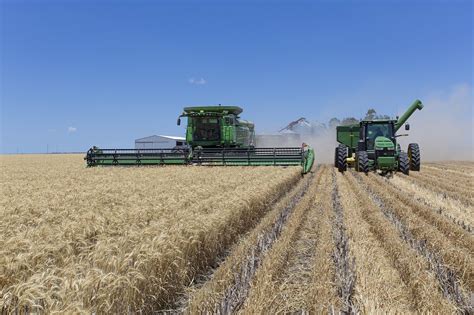 Nsw Leads Expected Bounce Back In National Winter Crop To 479mt