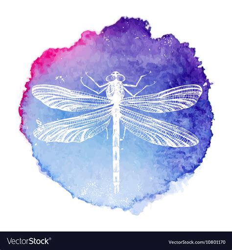 Hand Drawn Dragonfly On Watercolor Background Vector Image