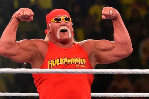 Ric Flair Gives Update On Hulk Hogans Health