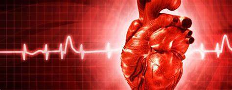 Vitamin D might safeguard heart tissue and forestall cardiovascular breakdown after coronary failure
