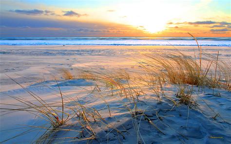 Download Sand Beach Sunset Dune Gr Yellow Sea Baltic Sky Cloud 1568534