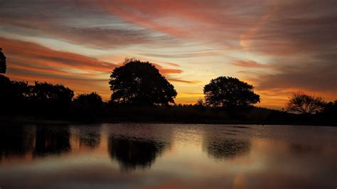 Download Wallpaper 1920x1080 Trees Lake Reflection Evening Sunset Full Hd Hdtv Fhd 1080p