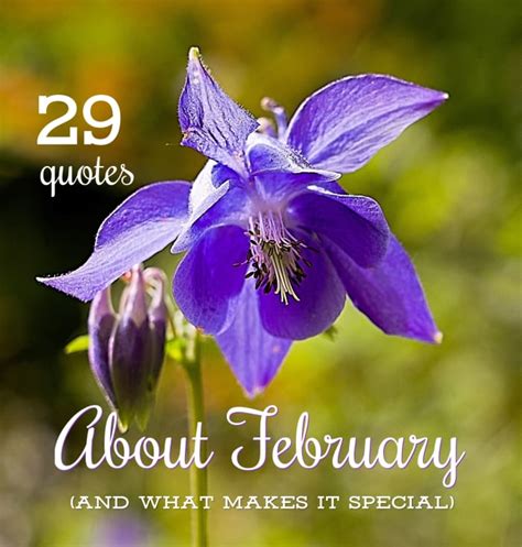 29 Quotes About February And What Makes It Special Holidappy
