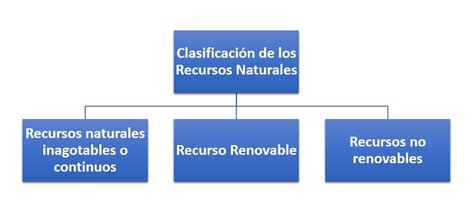 Clasificación De Recursos Naturales ¿cómo Se Clasifican