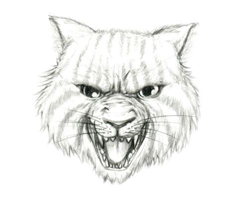 Angry Cat By Juananibalcanto On Deviantart
