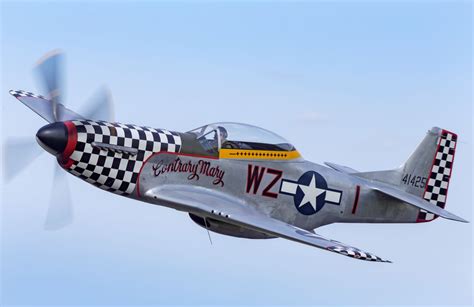 North American P51 Tf 51d Mustang For Sale Contrary Mary