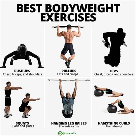 Dancudes Nutrition On Instagram The Best Bodyweight Exercises