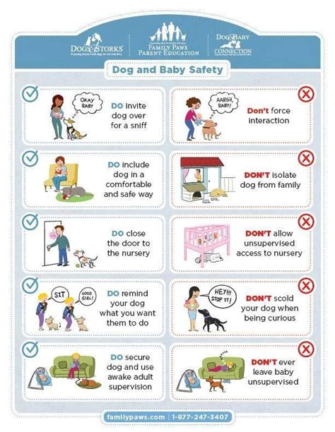 Baby Safety Around Dogs What And How To Prepare Cuddleyourdogs A