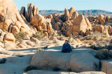 Visit Joshua Tree National Park Top 10 Things To Do Roads And