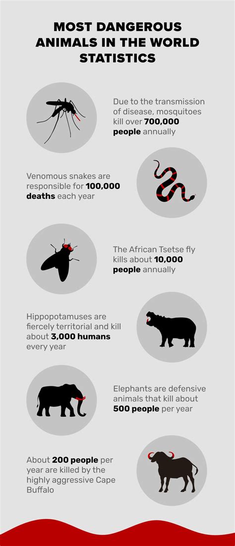 Deadliest Animals Chart