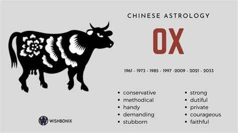 Chinese Astrology And The 12 Chinese Zodiac Signs