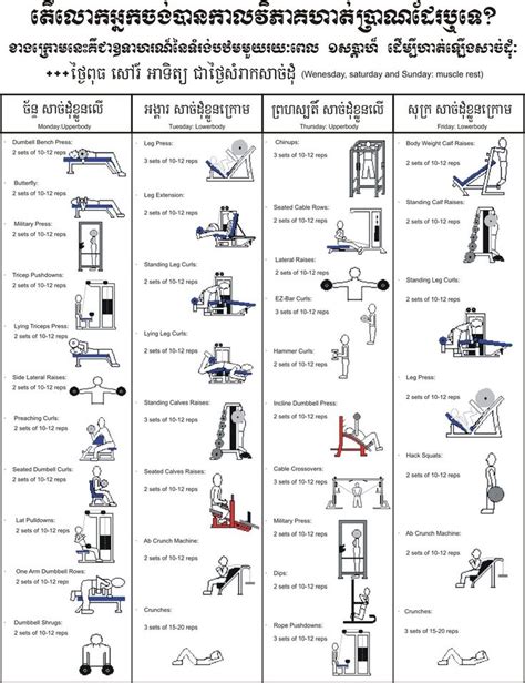 After you have completed the third week of the workout cycle, you will start back at week #1. Muscle Building Workout ...