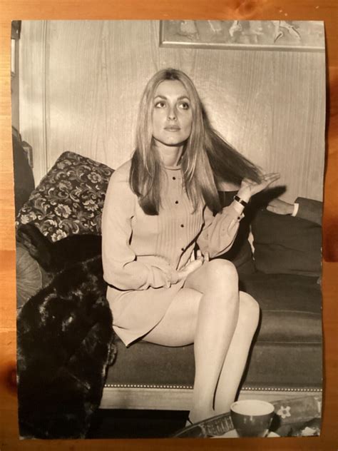 Sharon Tate Original Vintage Candid Press Photo 4638698209