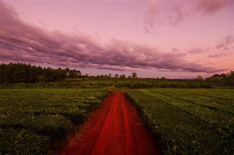 Wallpaper Path Field Grass Sunset Sky Clouds Hd Widescreen