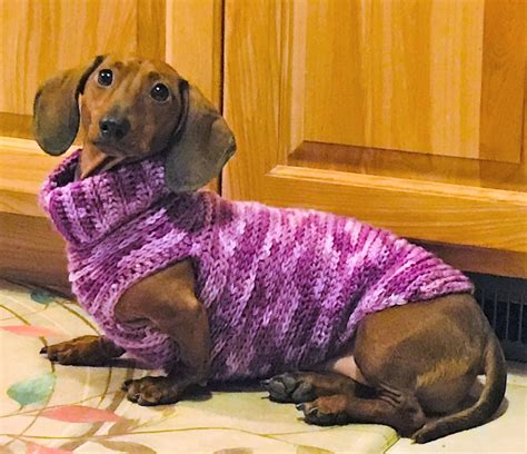 57 Diy Dachshund Sweater Photo Bleumoonproductions