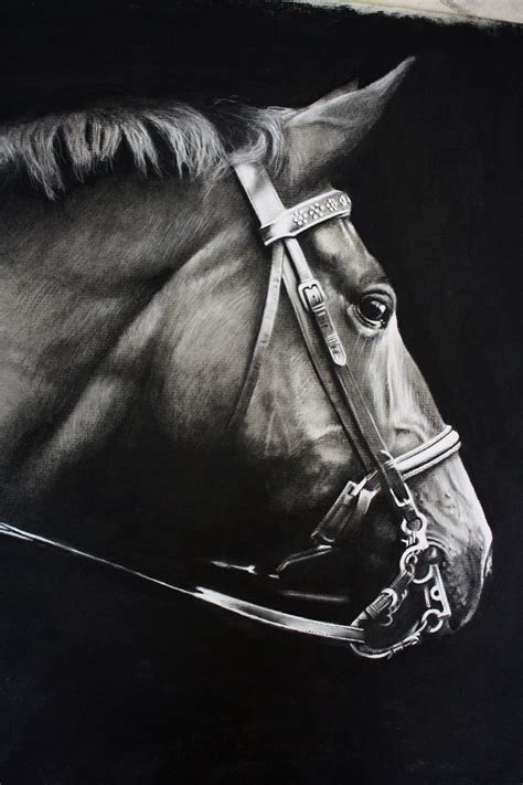 My Charcoal Drawing Of A Horse Rart