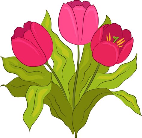 Tulip Illustrations Royalty Free Vector Graphics Clip Clip
