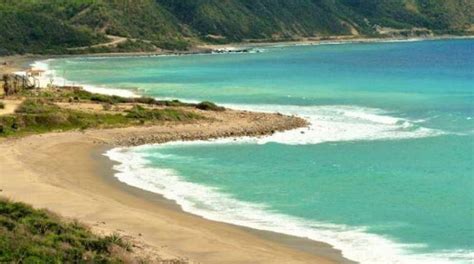 Proyectos Turísticos Aumentan Presión Sobre Ecosistemas De San Blas E