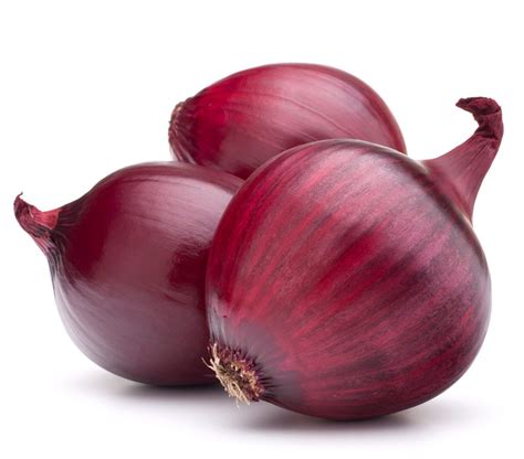 Nashik Red Onion Viccon Exports Pvtltd